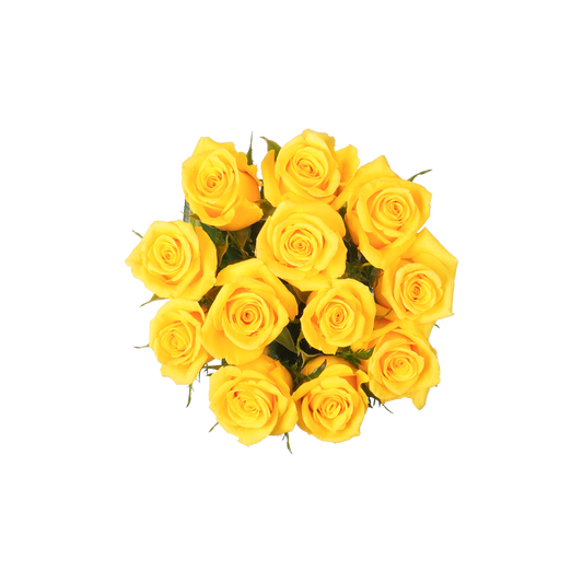Yellow Classic Roses - 12 Stems