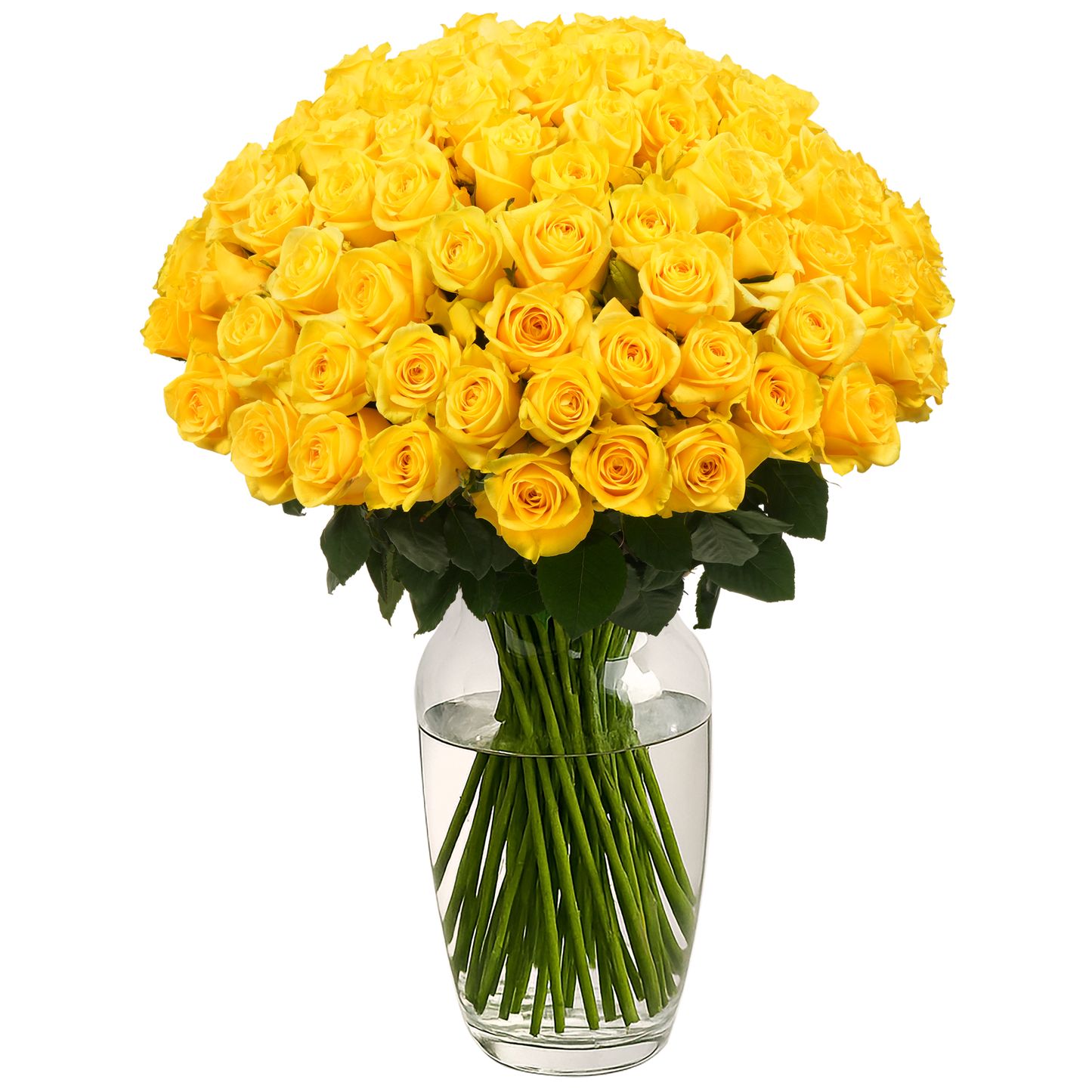 Yellow Roses - 100 Stems
