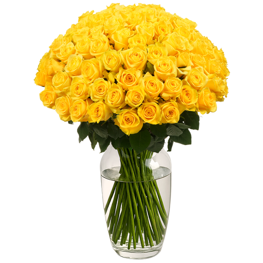 Yellow Roses - 100 Stems