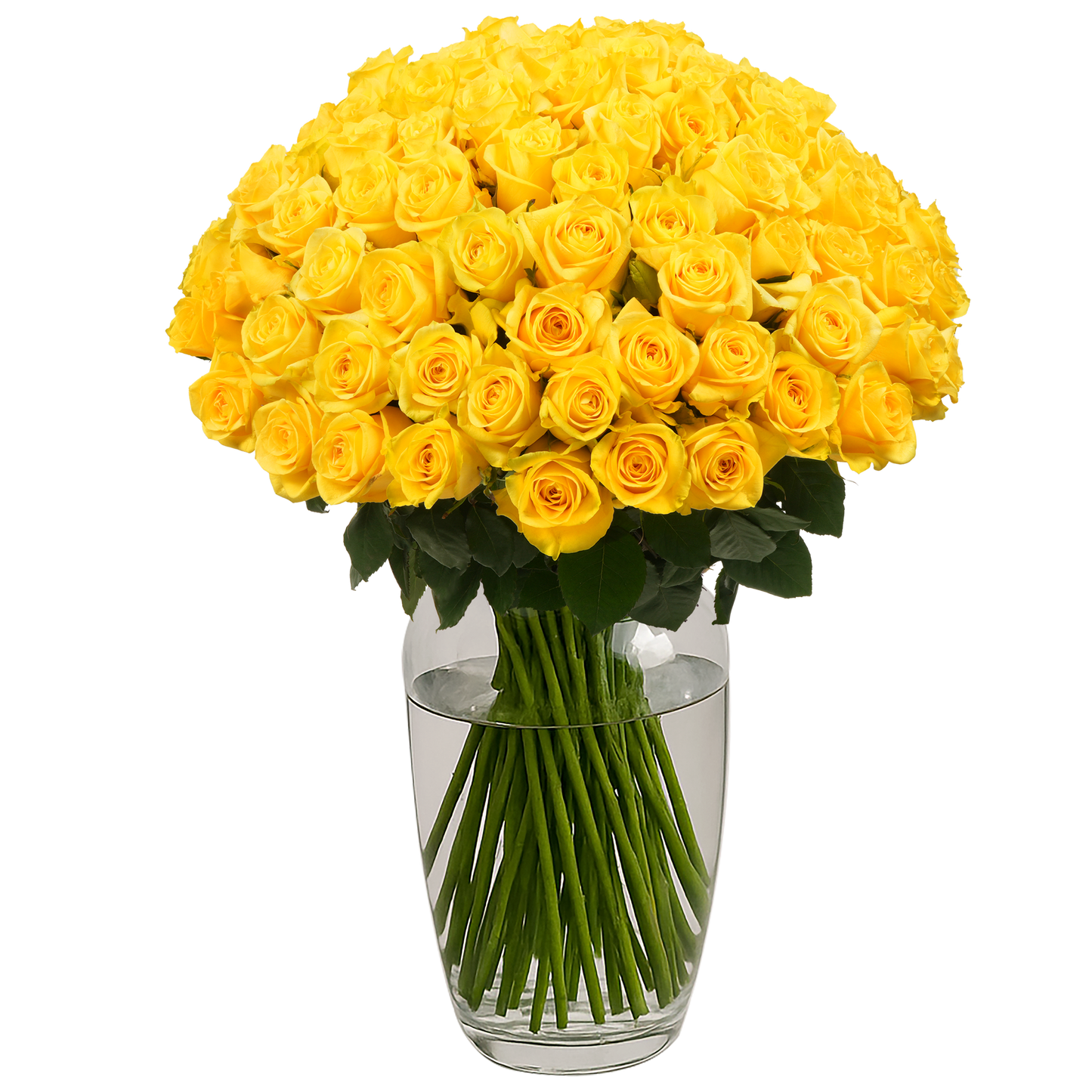Yellow Roses - 100 Stems