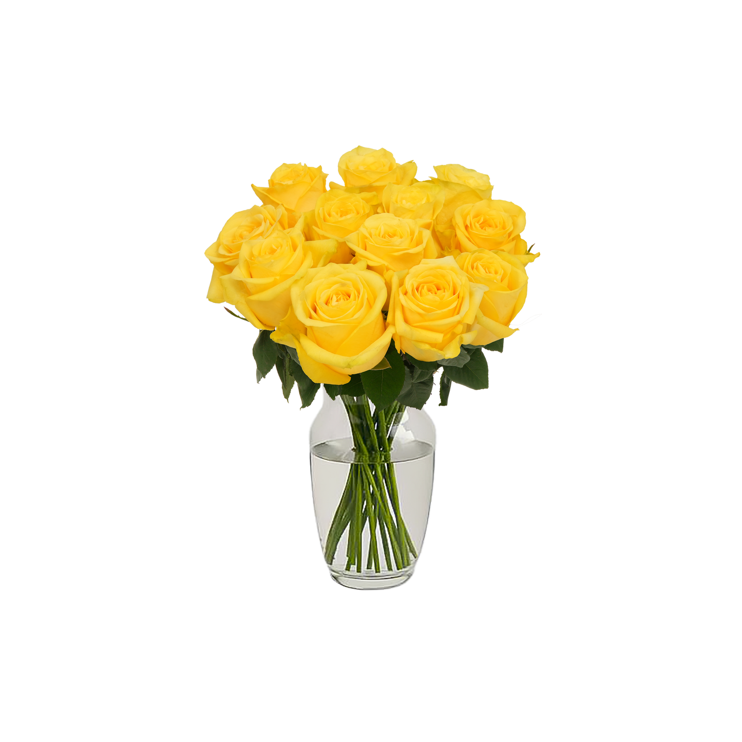 Yellow Roses - 12 Stems