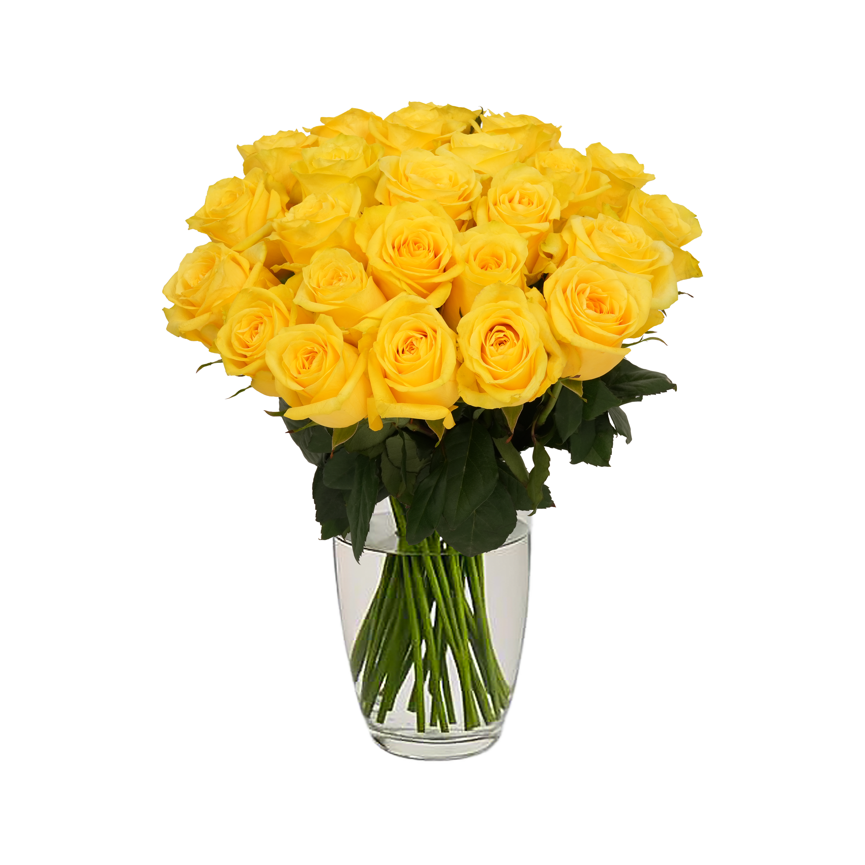 Yellow Roses - 24 Stems – Passion Roses