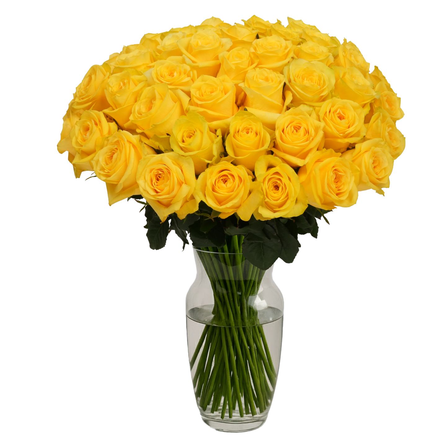 Yellow Roses - 50 Stems