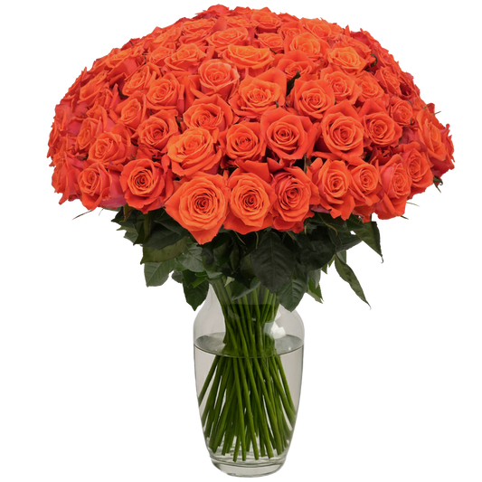 Orange Roses - 100 Stems