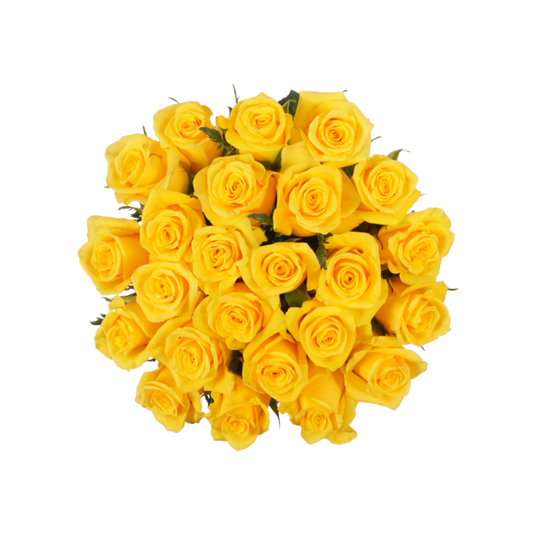 Yellow Classic Roses - 24 Stems