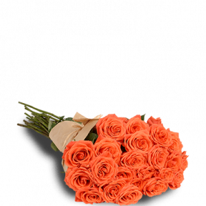 Orange Passion Two Dozen