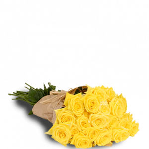 Yellow Passion Two Dozen