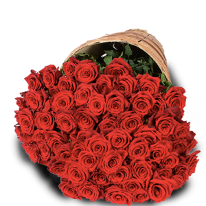Plenty of Passion Red