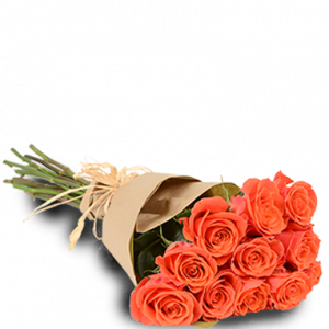 Orange Passion One Dozen
