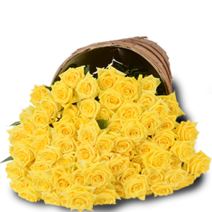 Plenty of Passion Yellow