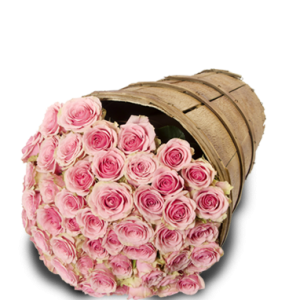 50 Roses Pink