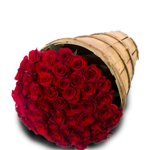 50 Roses Red
