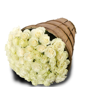 50 Roses White