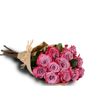 Lavender Passion One Dozen