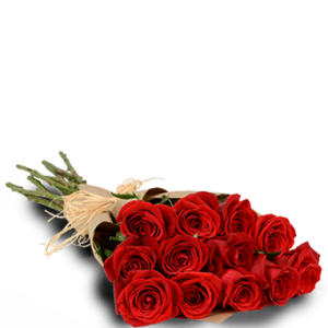 Red Passion One Dozen