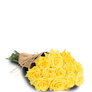 Yellow Passion One Dozen